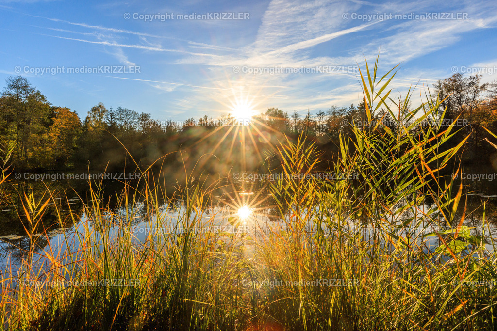 _J3A8753 | medienkrizzler - Realisiert mit Pictrs.com