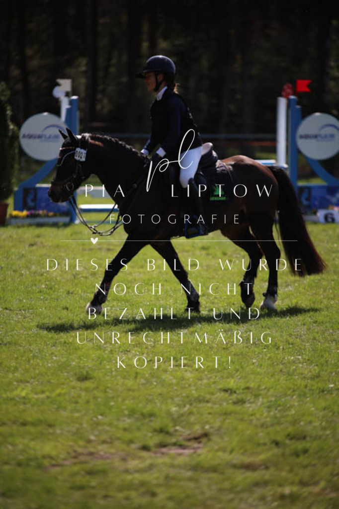 IMGT5701 | pl-fotografie