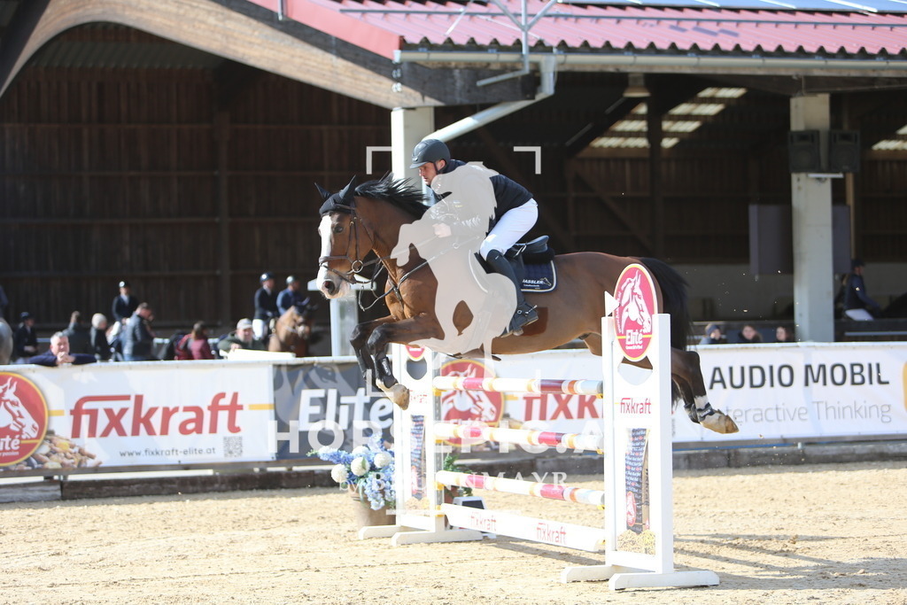 DL2Q0687 | Willkommen bei Brunnmayr - Design & Fotografie – Ihrem Spezialisten für Reitturniere und Pferdeveranstaltungen in Oberösterreich, Salzburg und Bayern! Seit über 17 Jahren sind wir leidenschaftlich dabei.