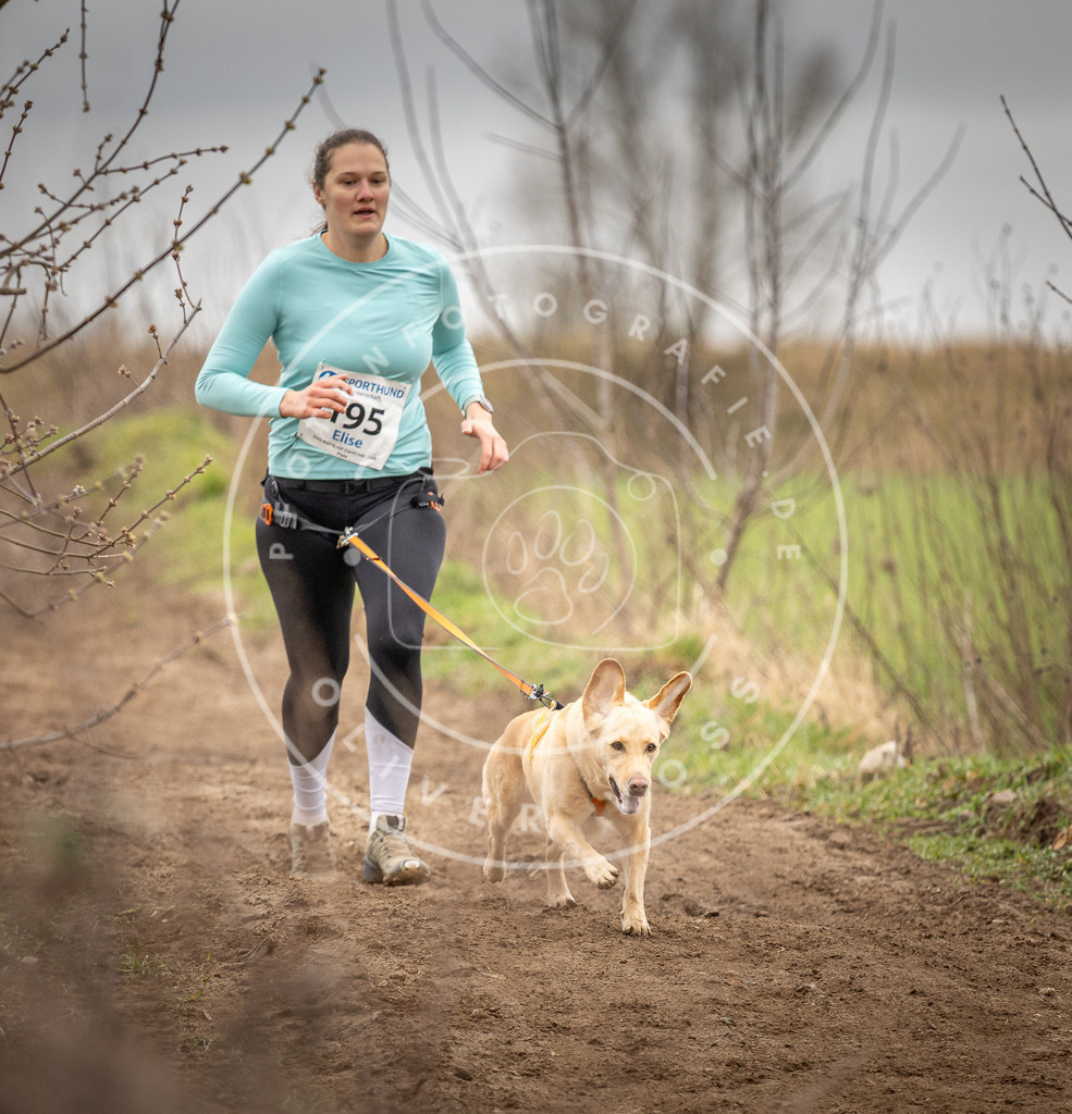 DV3A2281 | Hundefotografie, Tierfotograf, Pfotenfotografie, Fotoshooting Hund, Hunde Portrait, Hundesport, Hundeportraits, Heideshooting, Hunde, Sportfotograf, Hundefotograf, Turnierhundsport, THS,  - Realisiert mit Pictrs.com