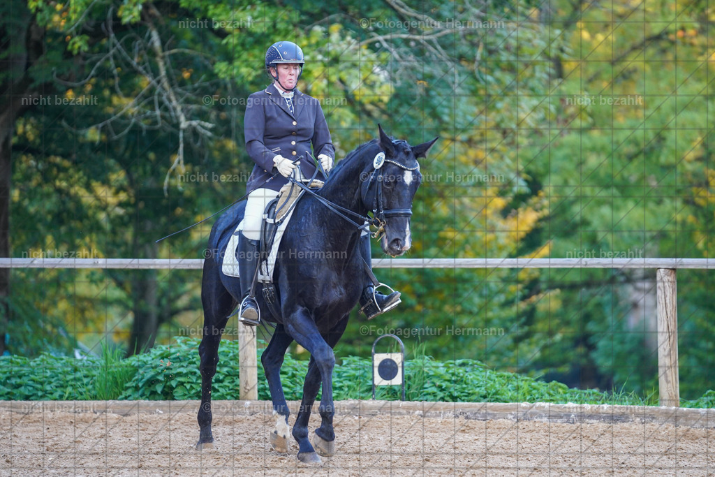 20221007-FAH00584 | Diessen am Ammersee, 2022, Dressur- und Springturnier, Reitsportbilder, Turnierfotografen Bayern, Pferdefotografen, Fotoagentur Herrmann, Turnierbilder