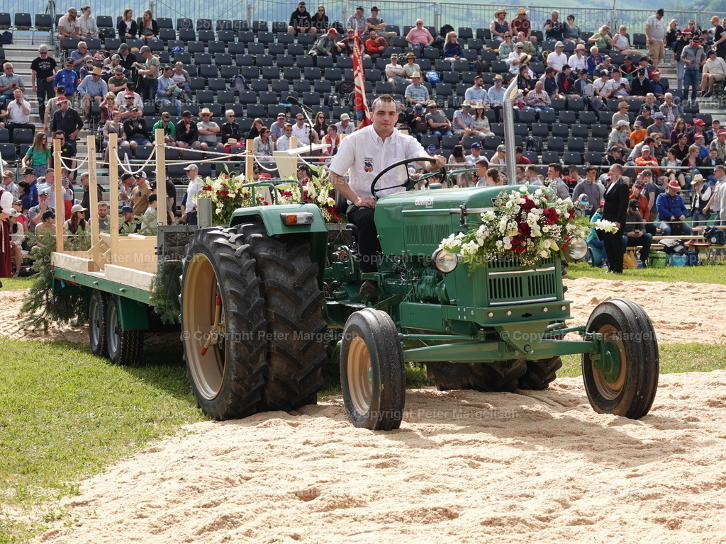 DSC06729 | Schwingen - Realisiert mit Pictrs.com