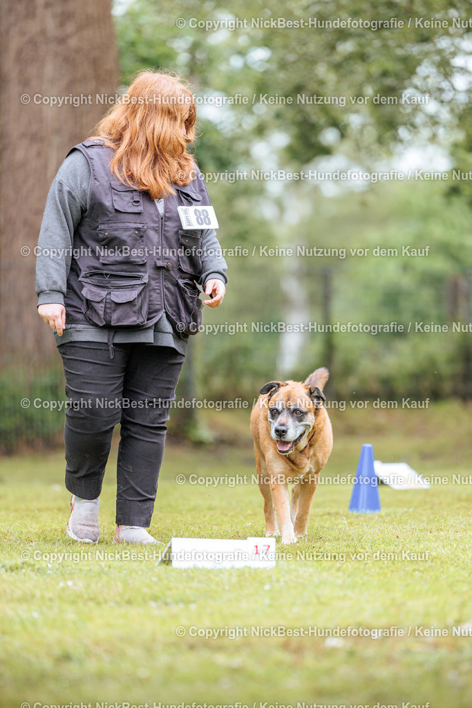 RO-Blumenthal-2026-Nickbest-Hundefotografie-4309 | Dein Hund! Dein Moment! Deine Erinnerungen! Hundefotografie in Bremen Blumenthal. Ich fange die besonderen Momente deines Vierbeiners ein – ob Indoor mit Blitzanlage oder in der freien Natur. Sicher dir dein Moment und dein Termin für eure Erinnerungen.