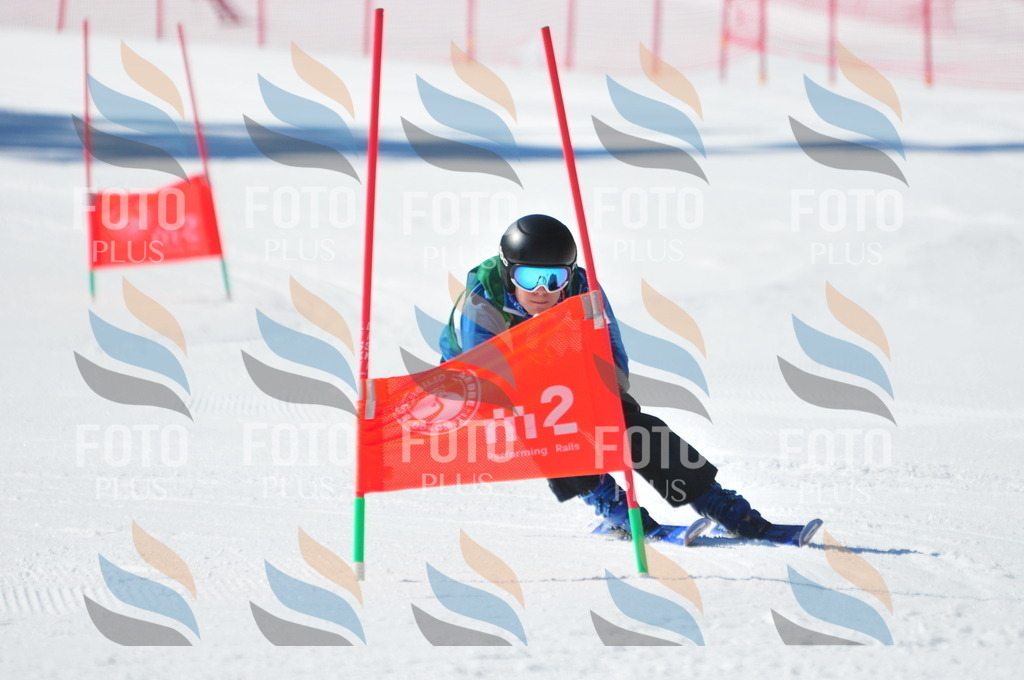 C3469 | holidayphoto