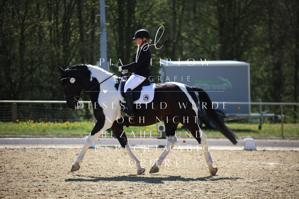 IMGT0880 | pl-fotografie