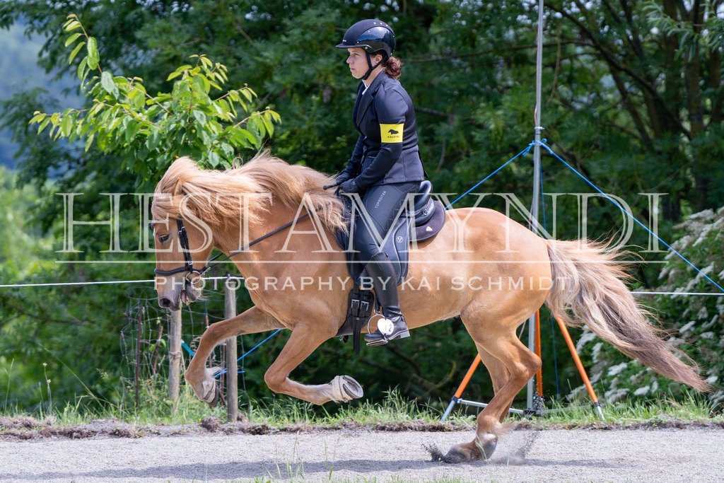 KAI02433 | Ihr sucht einen Fotografen für eure nächste OSI? Ich begleite auch euer Turnier für Islandpferde fotografisch.  - Realisiert mit Pictrs.com
