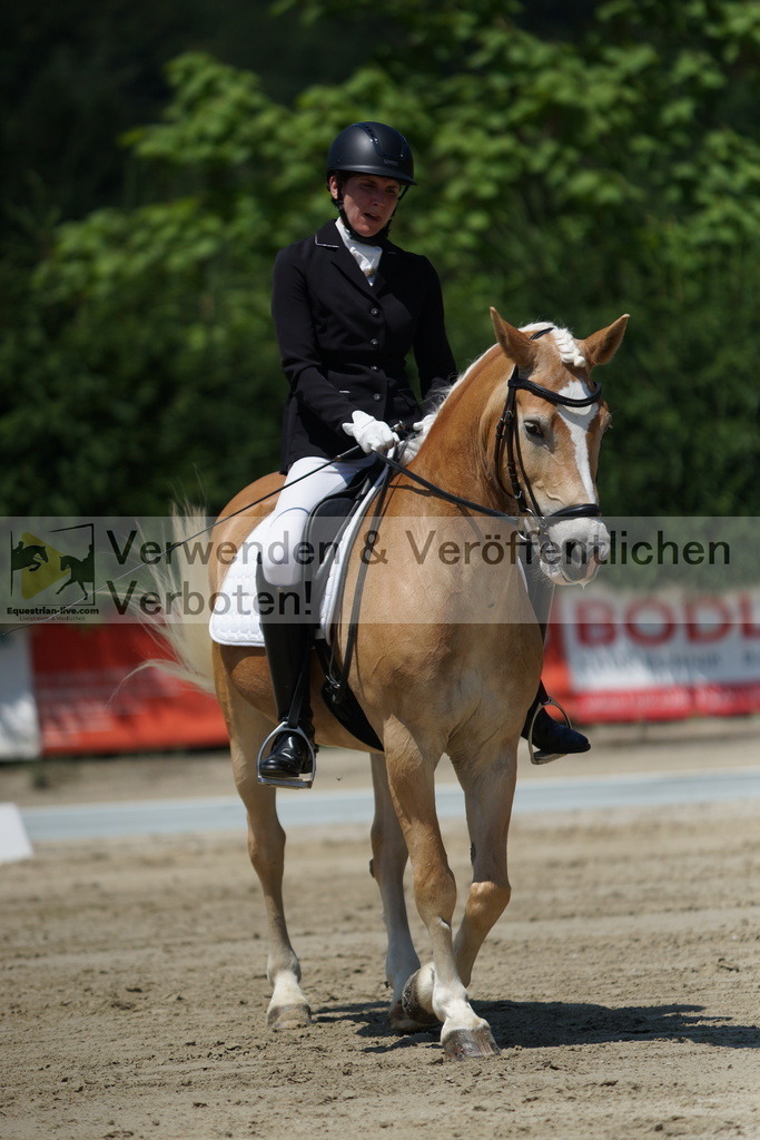 DSC03510 | equestrian-live-com