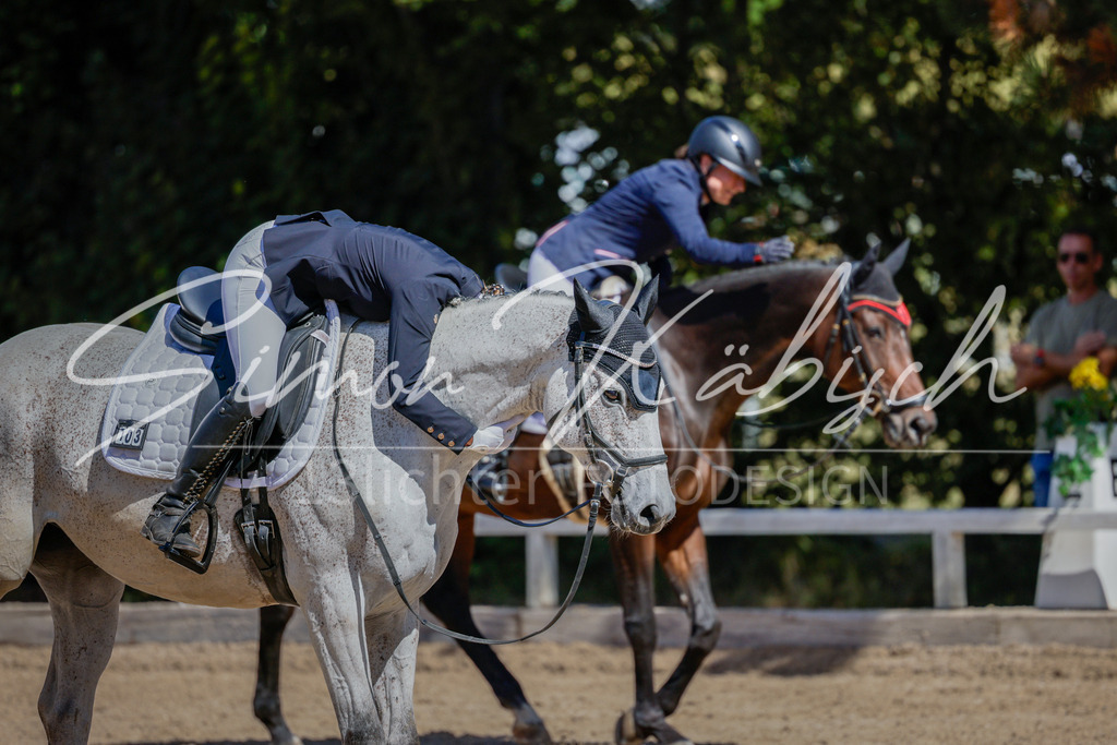 20250906-_3LI4384 | Tierfotografie Pferde, Hunde, Katzen, Haustiere.
Turnierfotografie Reitturniere, Reiten, Springreiten, Dressur in Hanau, dem Main-Kinzig-Kreis und dem Rhein-Main- Gebiet um Frankfurt