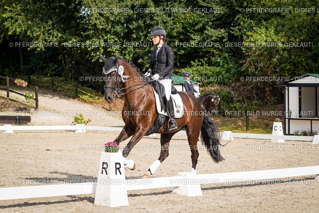 DSC07649 | Pferdegrafie