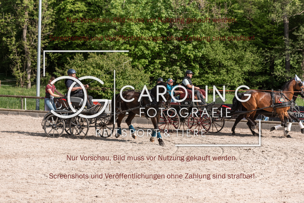DSC_2601 | Turnierfotografin Carolin Gieschke, Turnierfotografie Carolin G Fotografie, Turnierfotos Kirchheim/Teck, Esslingen, Stuttgart, Bodenseekreis