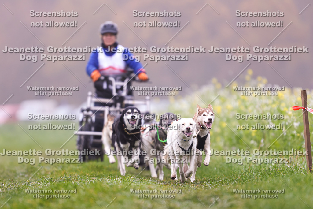 Dog Paparazzi - Visbeck 25 -39 | Dog Paparazzi Jeanette Grottendiek Fotografie & Videografie - Realisiert mit Pictrs.com