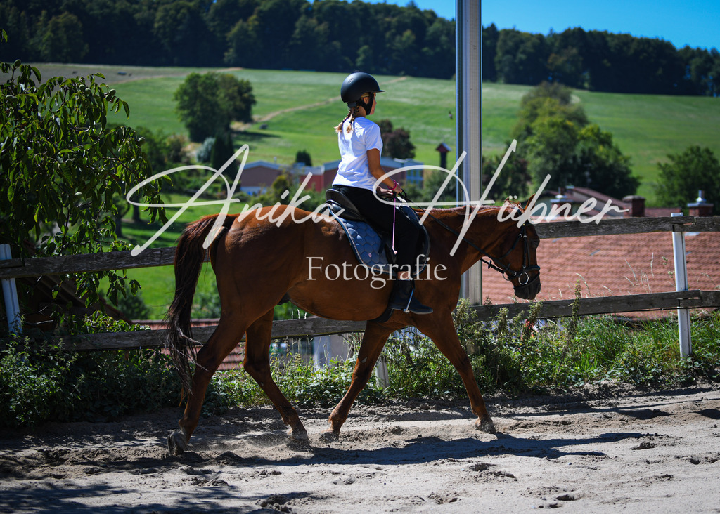 DSC_0863 | anikahuebner - Realisiert mit Pictrs.com