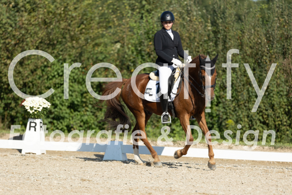 IMG_0686 | Creatify Fotografie