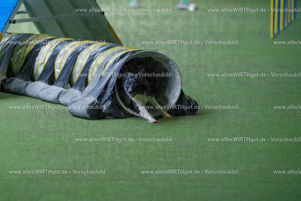 @allesWIRTHgut_Tierfotografie - www.allesWIRTHgut.de - 2604251230-7R501959 | Professionelle Tierfotografie in Mönchengladbach von Daniel Wirth (allesWIRTHgut). Liebevolle & natürliche Bilder von Hunden & Katzen für unvergessliche Erinnerungen.