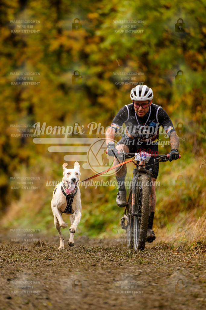 MompixPhotography_ICF_WC_2024_SA_Bike_-61 | PayLife