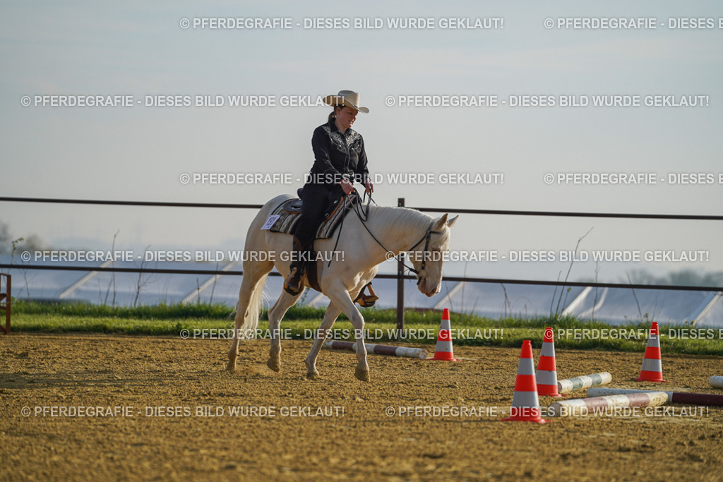 DSC00063 | Pferdegrafie