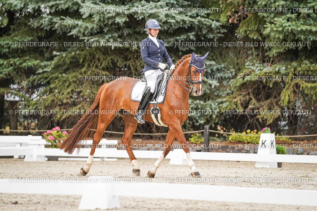 DSC09119 | Pferdegrafie