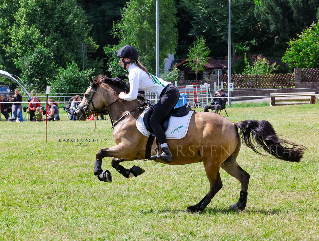 1B3A4291 | Reitsport Reiten
