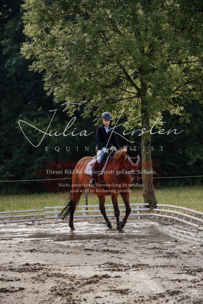 DSC_8094 | Pferde- und Turnierfotografie in Westsachsen. Pferdeportraits, Auftragszeichnungen und intuitive Kunst.