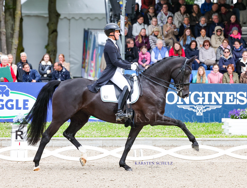 1B3A7357 | Reitsport Reiten