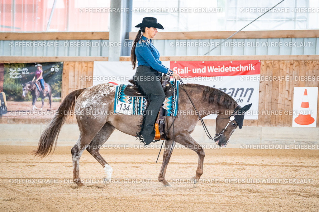 DSC01220 | Pferdegrafie