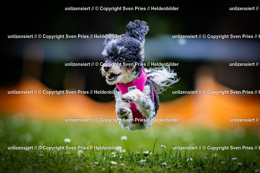 Sven Pries | 2025-05-29 - Pudelrennen KA-Durlach - Realisiert mit Pictrs.com