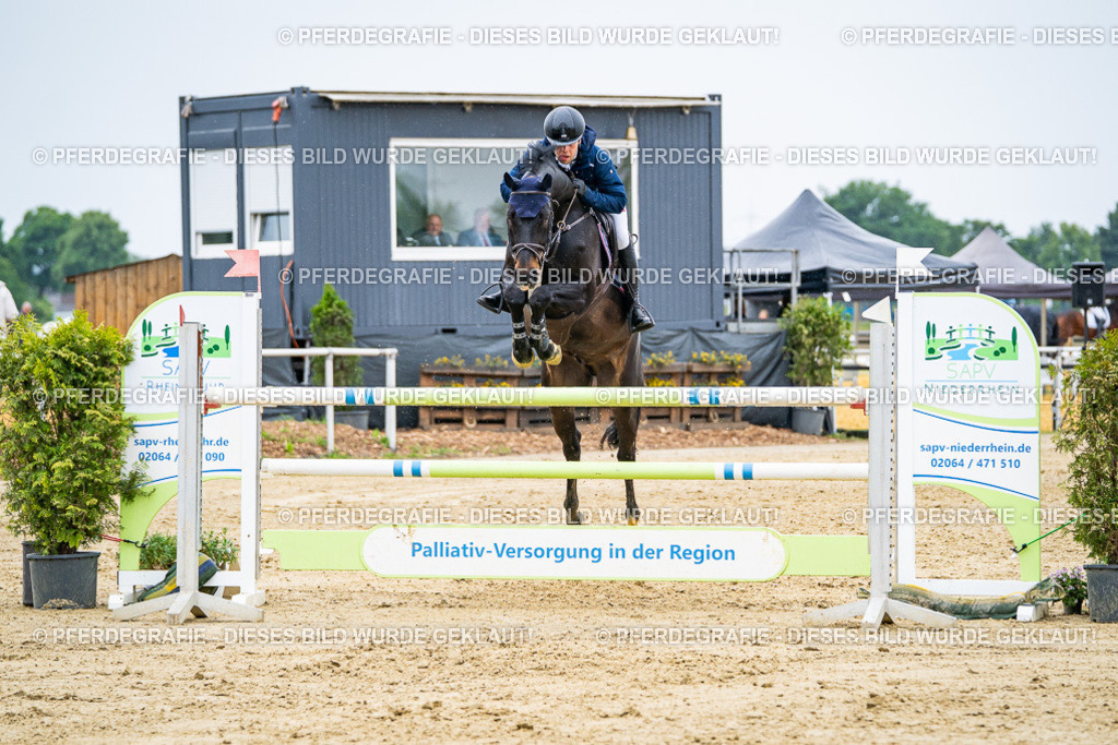 DSC08334 | Pferdegrafie