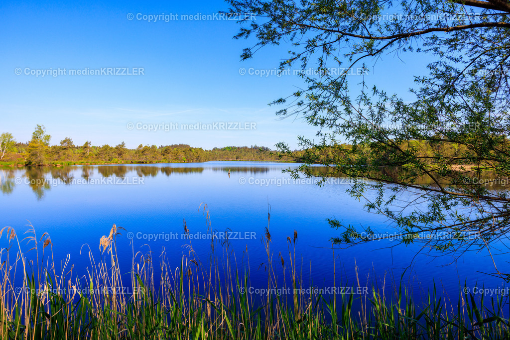 _J3A7755 | medienkrizzler - Realisiert mit Pictrs.com