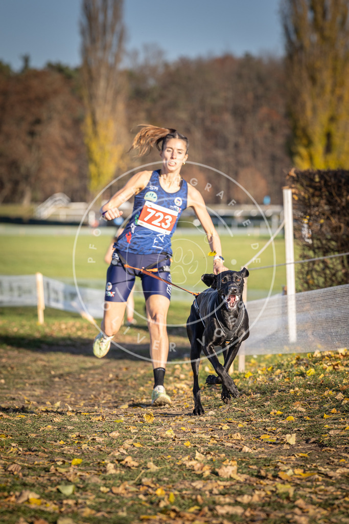 CaniXpix_DV3A1870 | Hundefotografie, Tierfotograf, Pfotenfotografie, Fotoshooting Hund, Hunde Portrait, Hundesport, Hundeportraits, Heideshooting, Hunde, Sportfotograf, Hundefotograf, Turnierhundsport, THS,  - Realisiert mit Pictrs.com