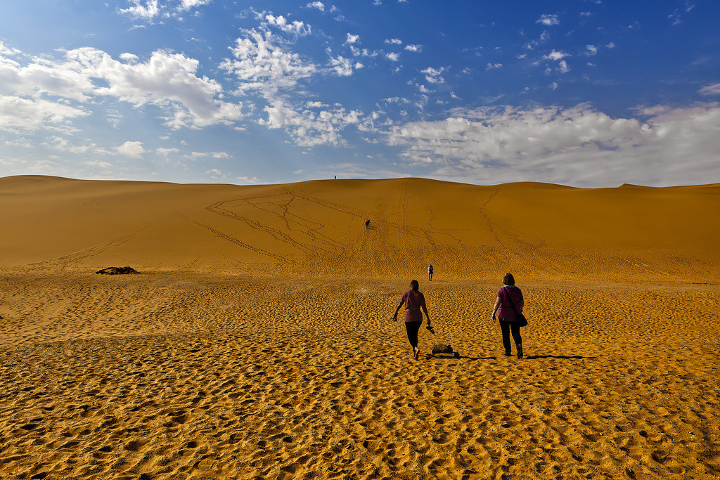 1H5A2558 | ansichtssache