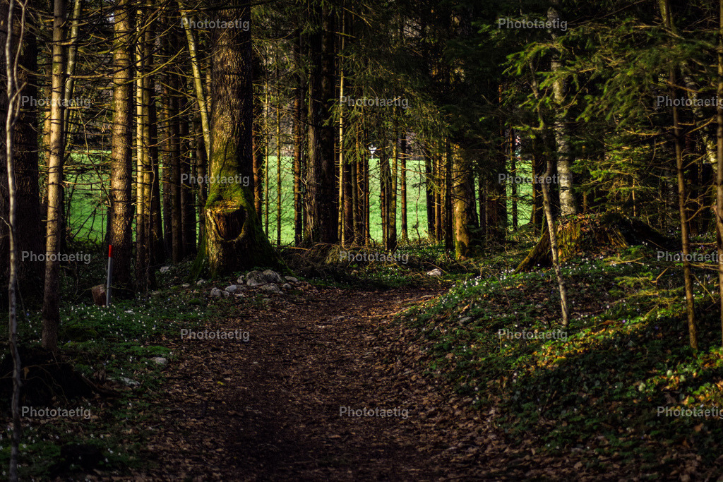 IMG_4141 | phototaetig