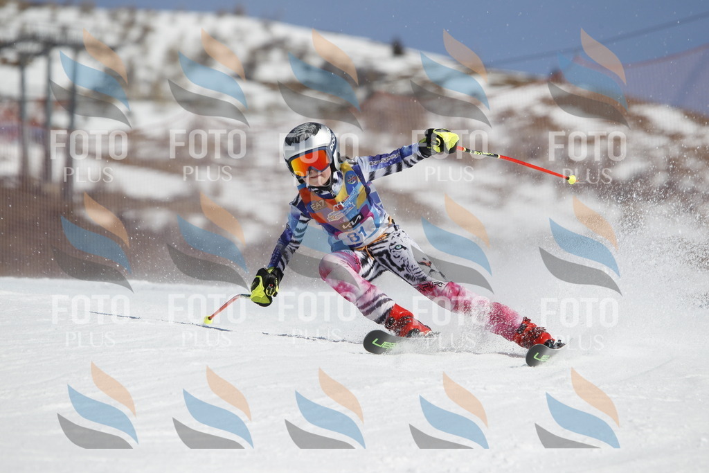 _U3G0011 | holidayphoto