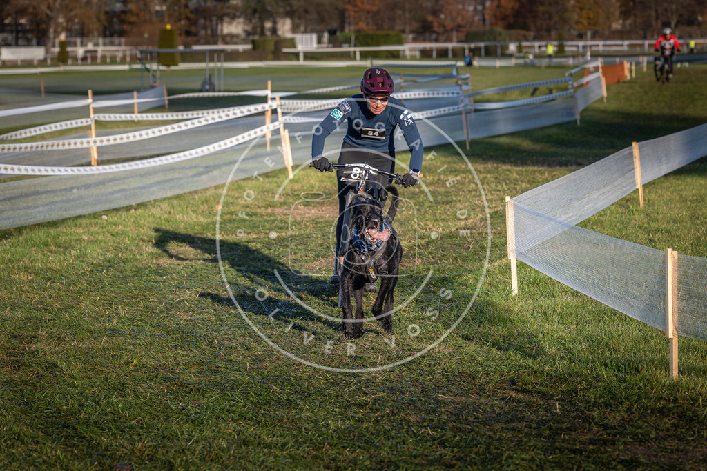 CaniXpix_0L8A3764 | Hundefotografie, Tierfotograf, Pfotenfotografie, Fotoshooting Hund, Hunde Portrait, Hundesport, Hundeportraits, Heideshooting, Hunde, Sportfotograf, Hundefotograf, Turnierhundsport, THS,  - Realisiert mit Pictrs.com