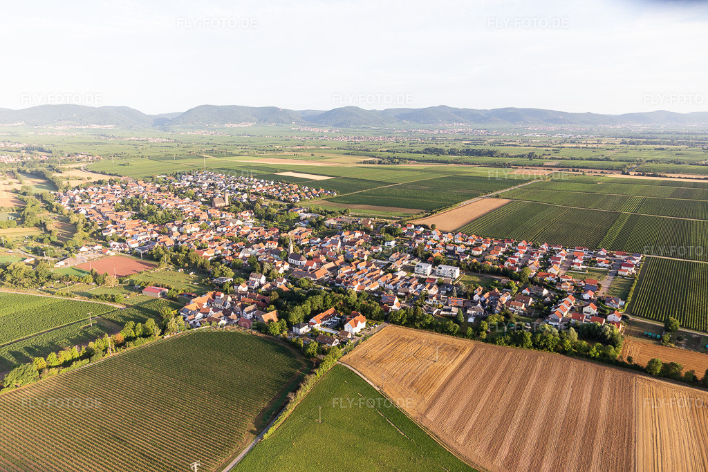 Luftbild: Landwirtschaftliche Nutzflächen und Feldgrenzen umsäumen das Siedlungsgebiet des Dorfes in Essingen im Bundesland Rheinland-Pfalz in Deutschland. Foto: IMG_116615.jpg vom 11.08.2019 durch Werner Riehm/FLY-FOTO.de