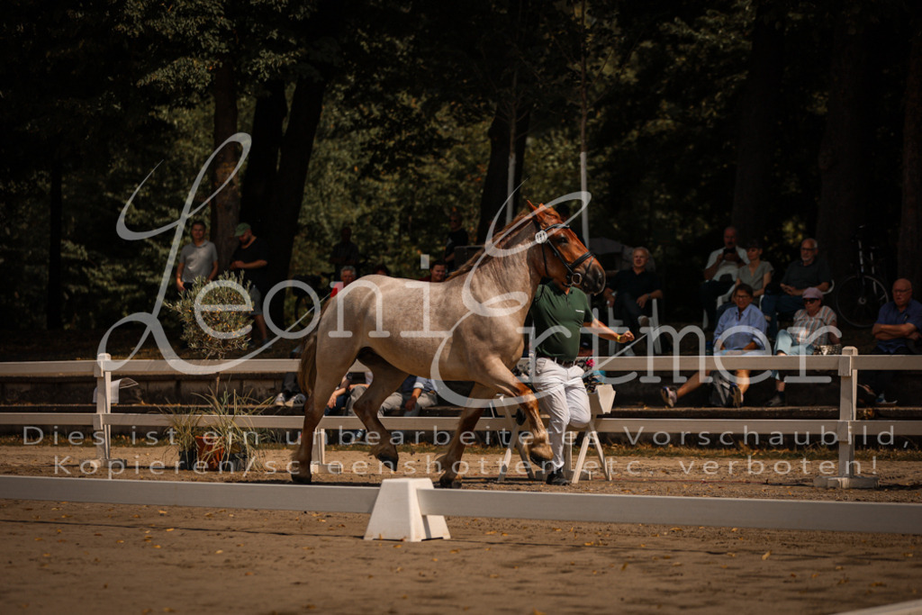 1.Sa00035 | Leoni Ertmer Photography - Realisiert mit Pictrs.com