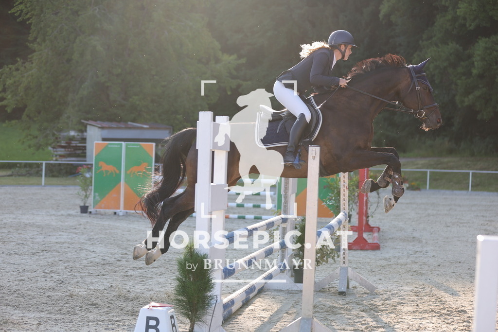 0P6A7180 | Willkommen bei Brunnmayr - Design & Fotografie – Ihrem Spezialisten für Reitturniere und Pferdeveranstaltungen in Oberösterreich, Salzburg und Bayern! Seit über 17 Jahren sind wir leidenschaftlich dabei.