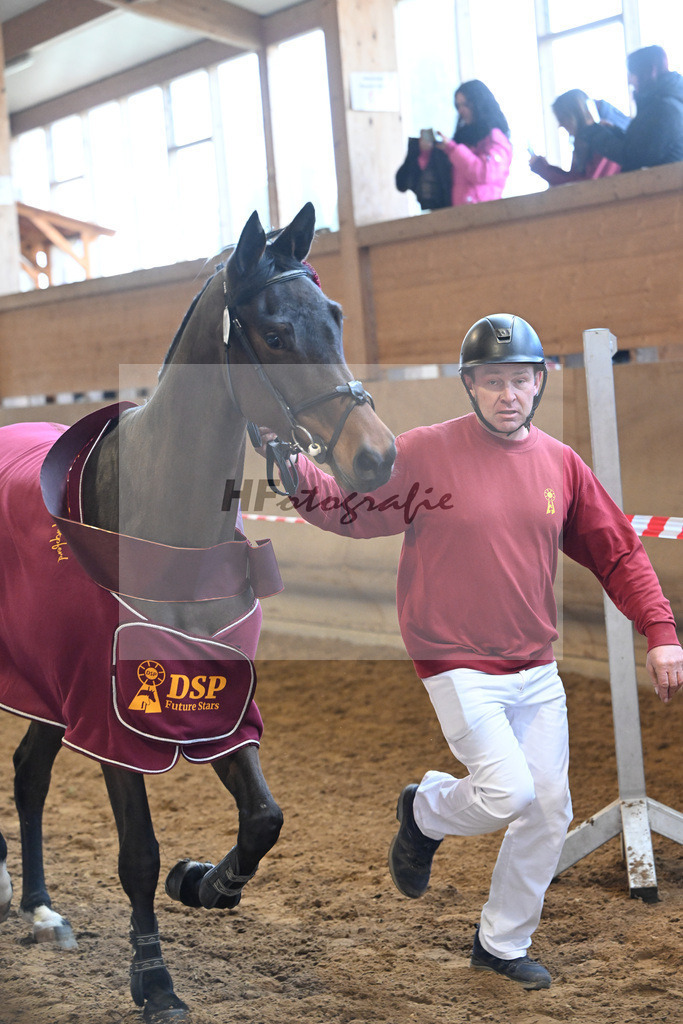Kat-Nr. 33 Carassina S v. Chinchero_Schaefer_16251167 | hf-fotografie - Realisiert mit Pictrs.com