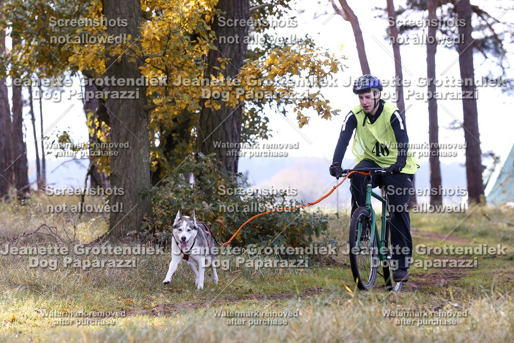 Dog Paparazzi - Elsholz 25 -152 | Dog Paparazzi Jeanette Grottendiek Fotografie & Videografie - Realisiert mit Pictrs.com