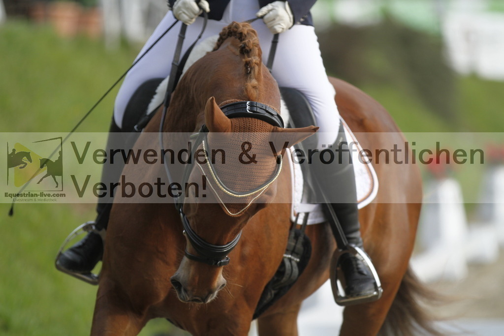 _MG_5764 | equestrian-live-com