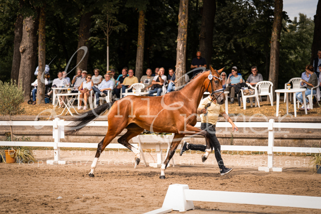 6.Fr00118 | Leoni Ertmer Photography - Realisiert mit Pictrs.com