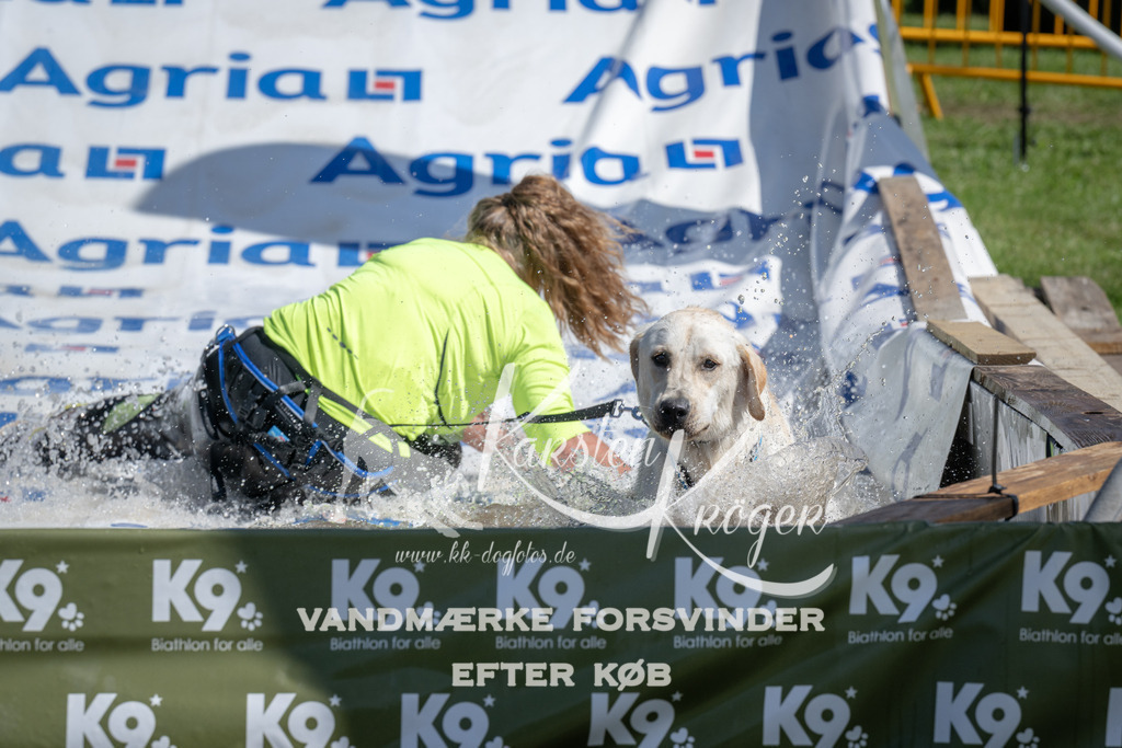 1212_ZZ95092 | kk-dogfotos