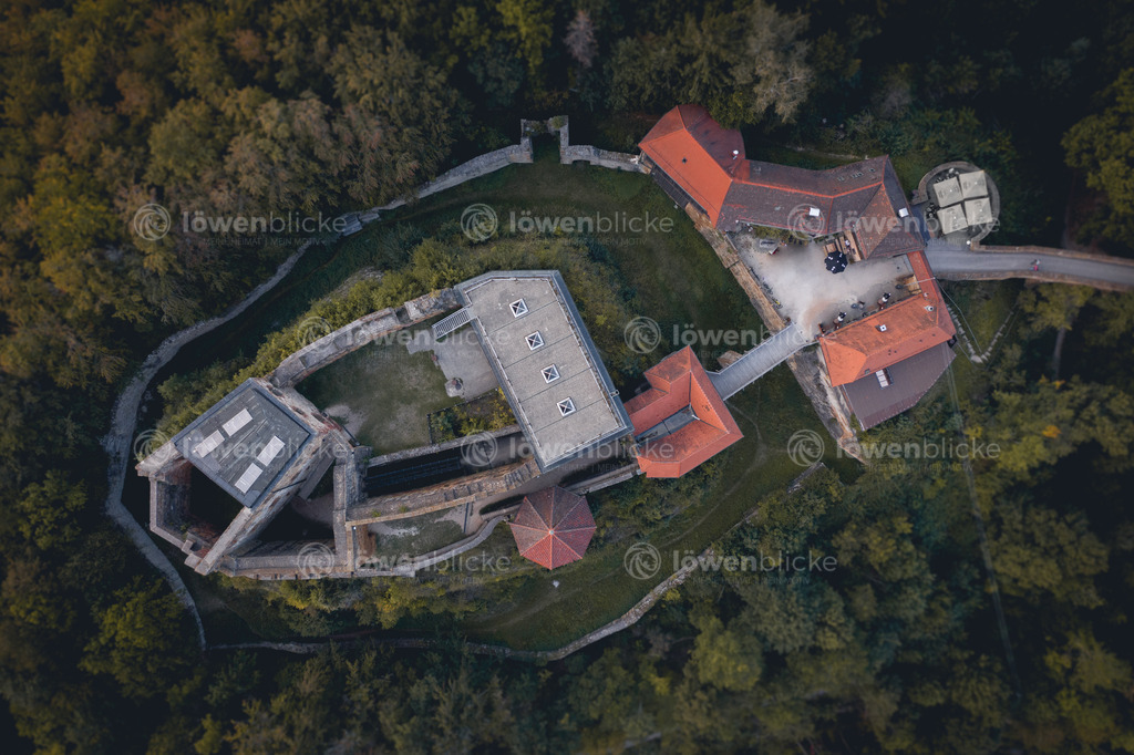 Burg Rechberg im Sommer | löwenblicke | shop