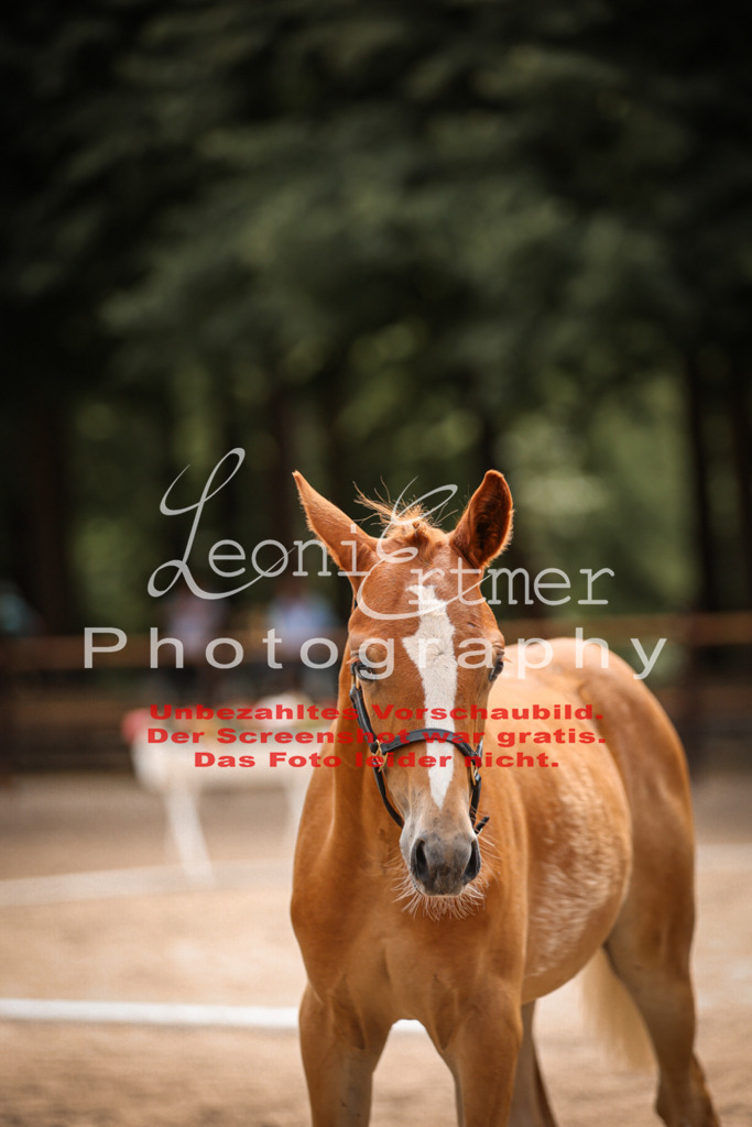 8.So00061 | Leoni Ertmer Photography - Realisiert mit Pictrs.com
