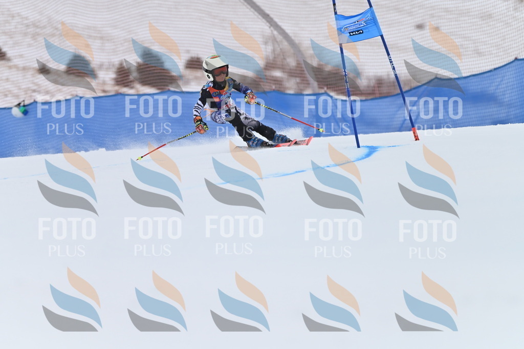 BGV_1709 | holidayphoto