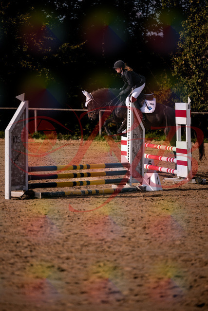 2026_10_03_Siefer-Hof_153602_Z81_48526929 | Professionelle Reitsport-, Turnier- und Eventfotografie von Robert Broda. Galerien mit ausgewählten und bearbeiteten Bildern direkt online ansehen und bestellen.