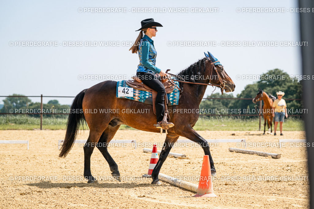 DSC00728 | Pferdegrafie