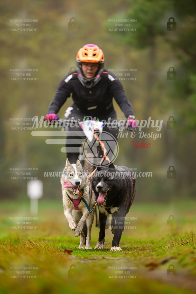 MompixPhotography_Bischwiller2025_Bike-142 | mompixphotography