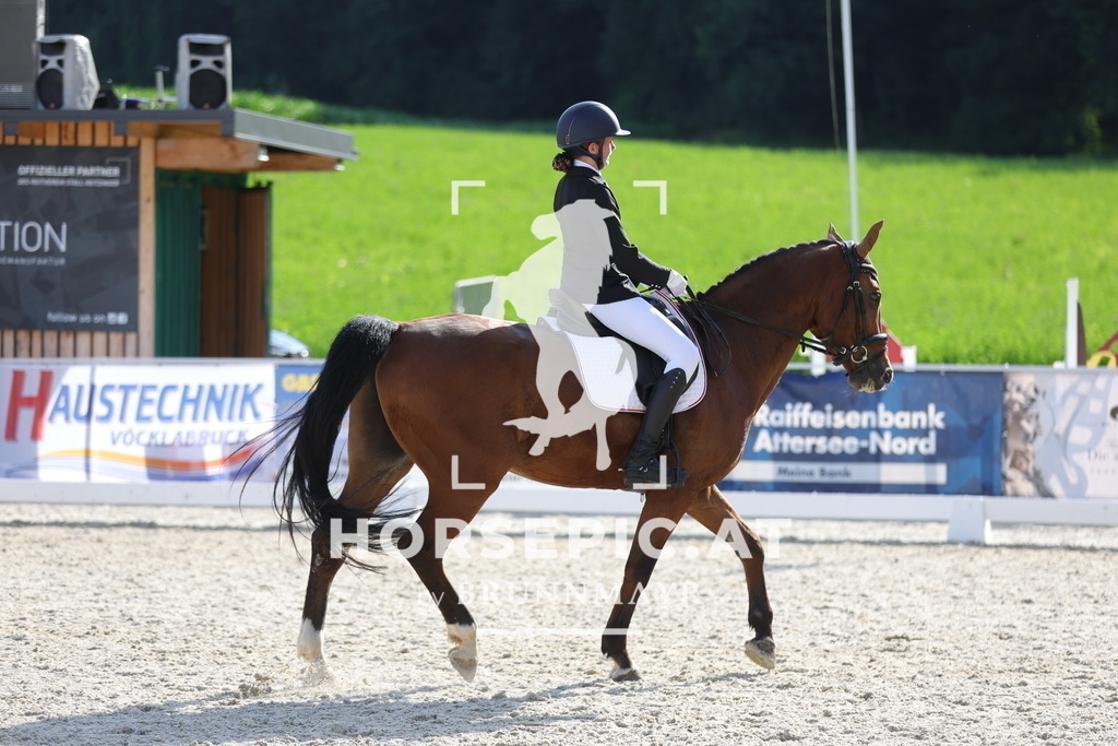 0P6A7288 | Willkommen bei Brunnmayr - Design & Fotografie – Ihrem Spezialisten für Reitturniere und Pferdeveranstaltungen in Oberösterreich, Salzburg und Bayern! Seit über 17 Jahren sind wir leidenschaftlich dabei.