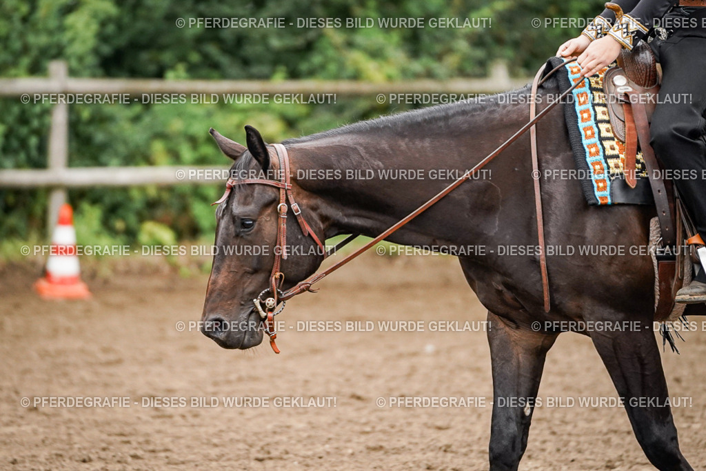 DSC02156 | Pferdegrafie