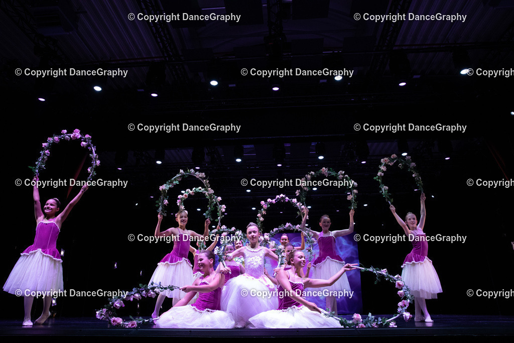 GPHY6003 | DanceGraphy - Realisiert mit Pictrs.com